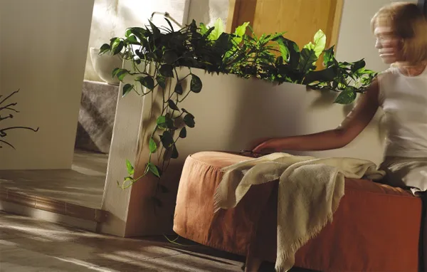 Angkor Lev.Cerdomus — 3