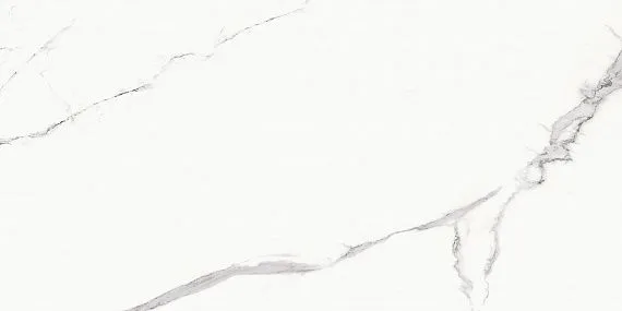Statuario Goya — 4