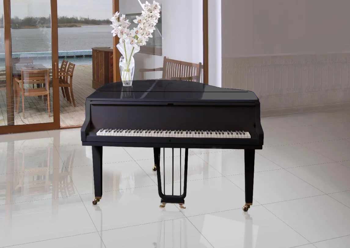 Blanco Negro Porcelanicos HDC — 1