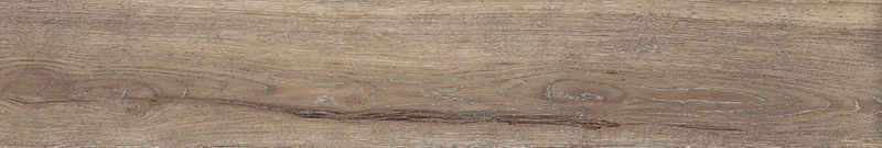 Brown DA04/19 — 18