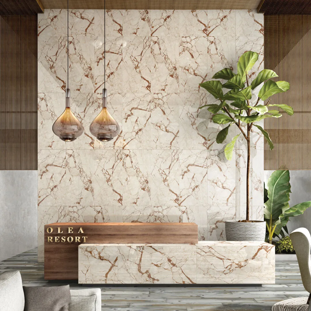 60х120 Colortile — 4