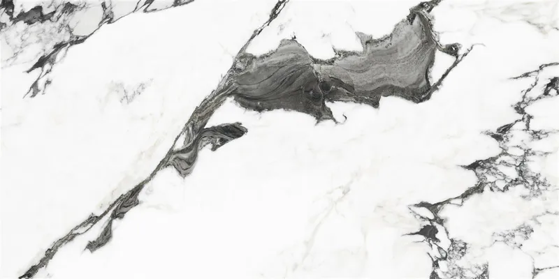 P19707 White — 1