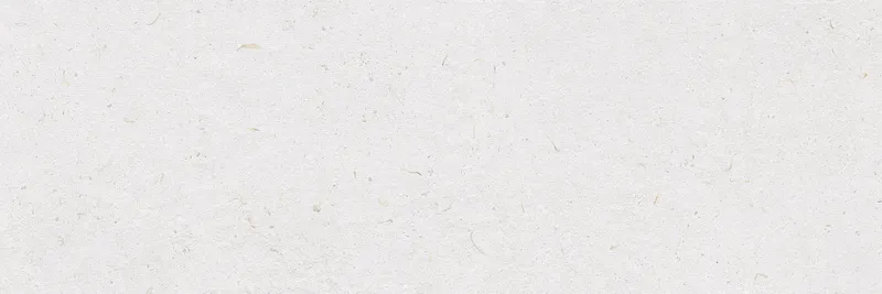 Lino — 1