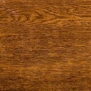 Tropical Forest Jatoba — 1