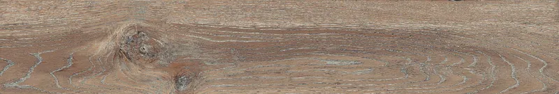 Brown DA04/19 — 17