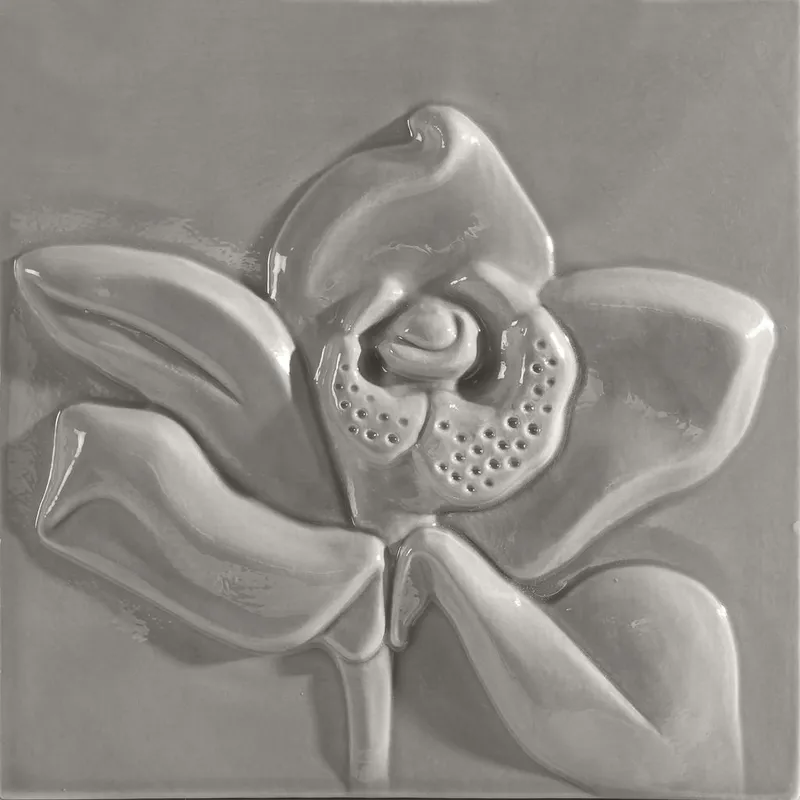 Win Europa Decor Gris — 1