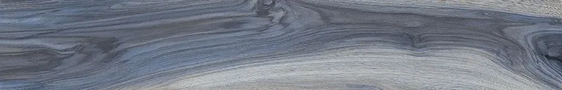 075095 Kauri Tasman Nat Rett — 1