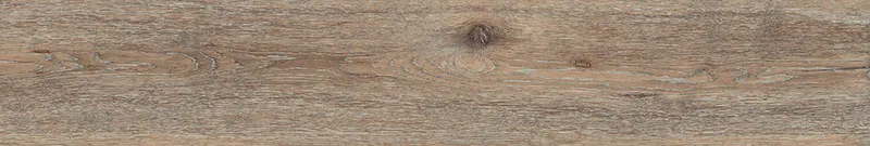 Brown DA04/19 — 12