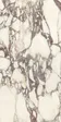 PL612671 Calacatta Viola Luc Ret 60x120 — фото 16