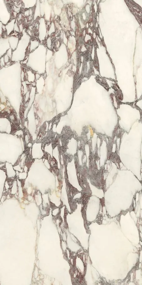 PL612671 Calacatta Viola Luc Ret 60x120 — 16