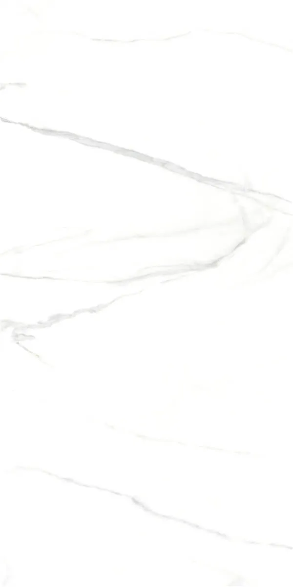 P15006 White — 5