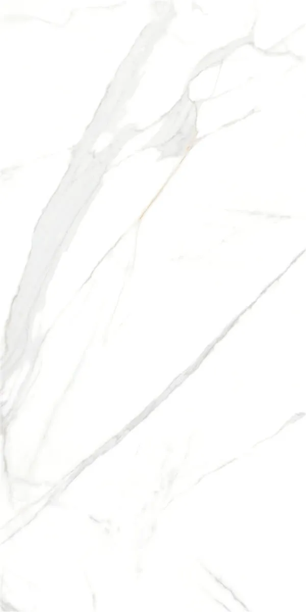 P15006 White — 6