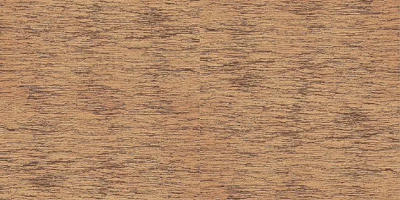 Sughero Tigre Rett 60x120 — 1