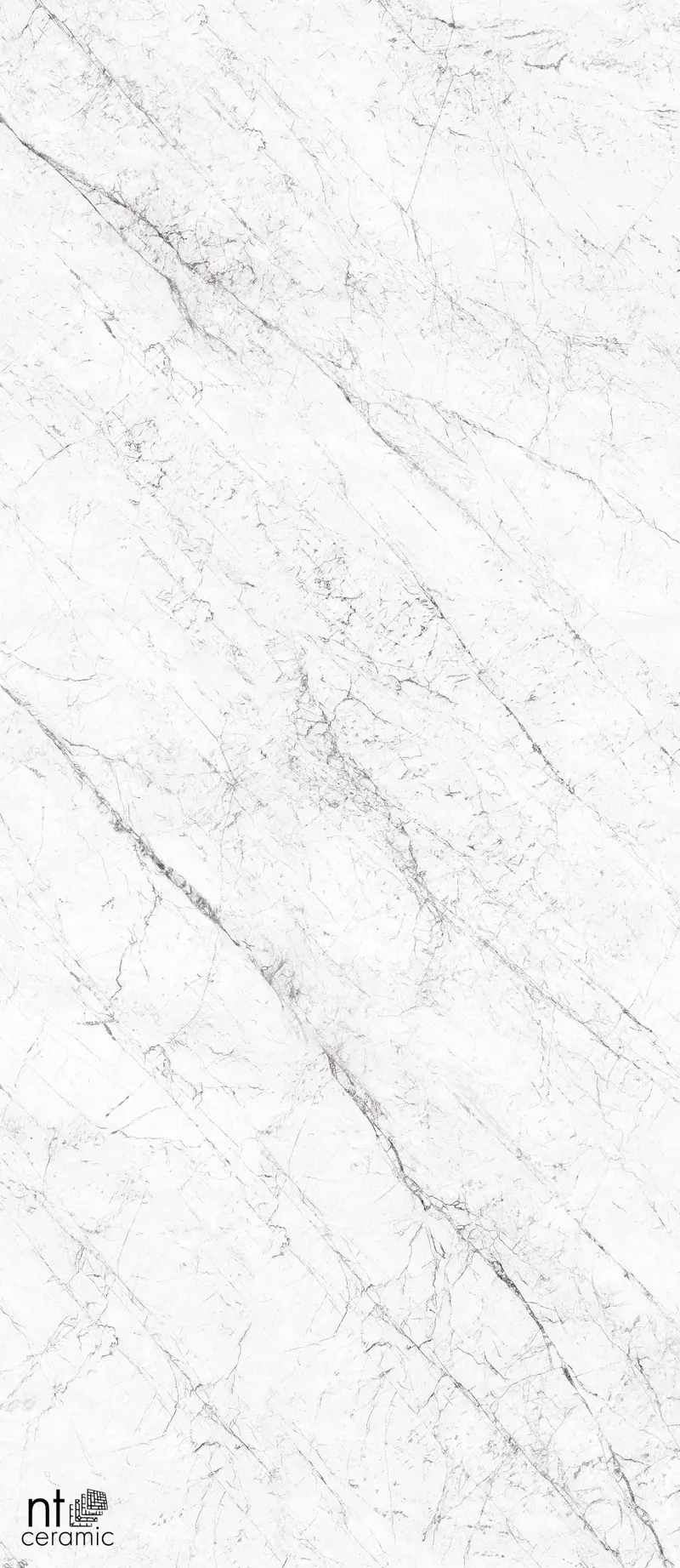 NTT3602C Carrara — 2