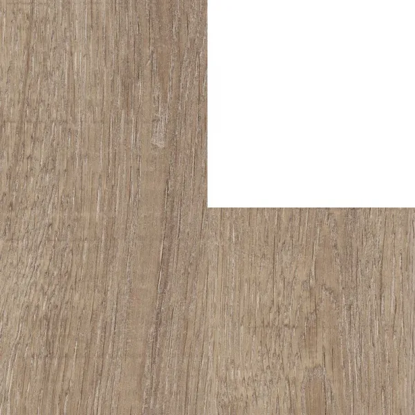 Dark Wood — 1