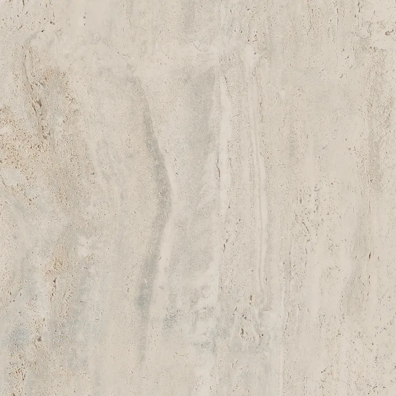 PF60006606 Bone Vein — 7