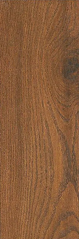 Aracena Kauri — 1