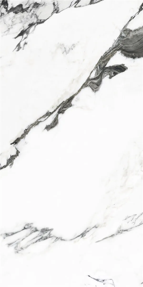 P19707 White — 12
