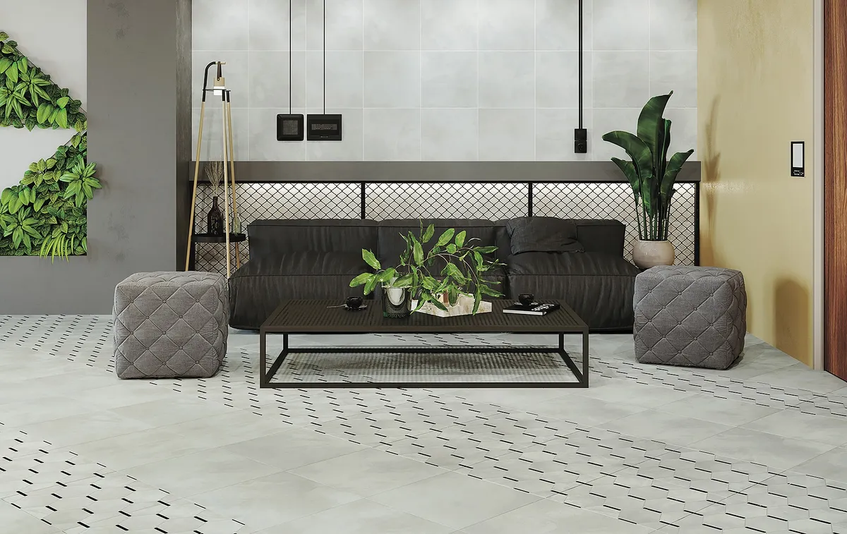 Anima New Trend — 2