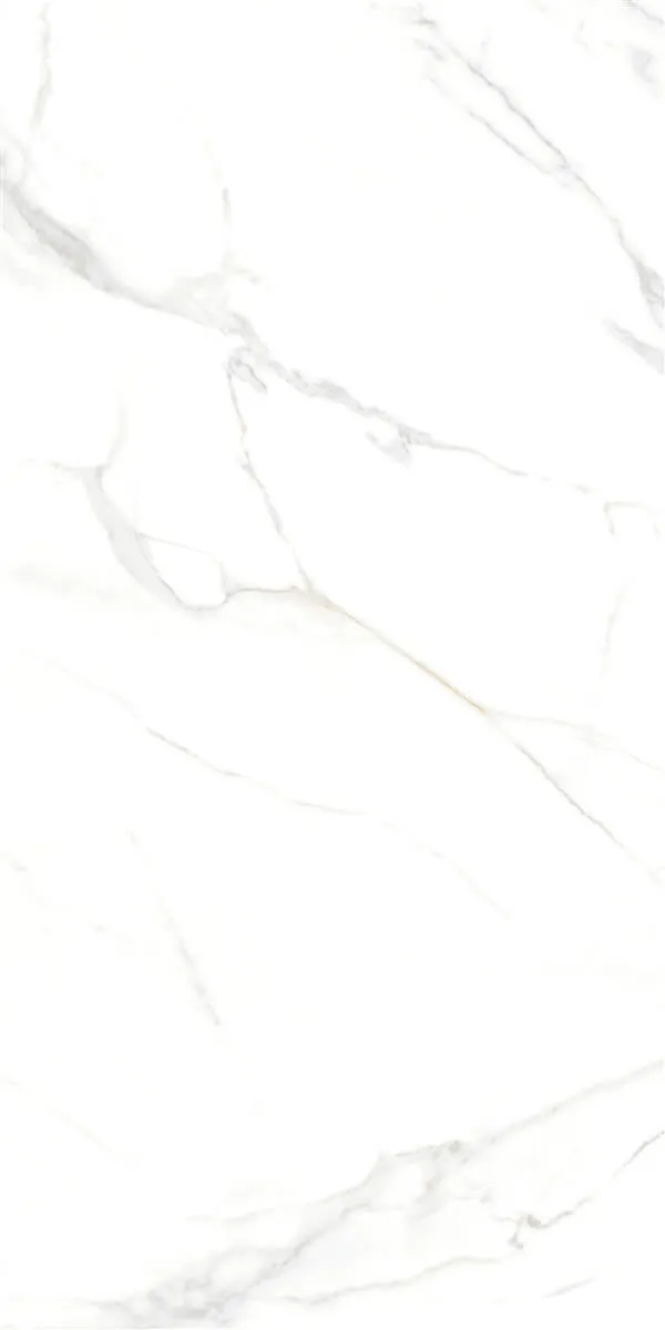 P15006 White — 4