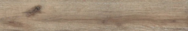 Brown DA04/19 — 11