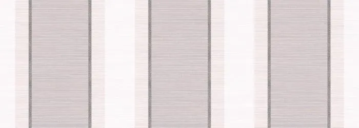 Fresh Modul Vison — 1