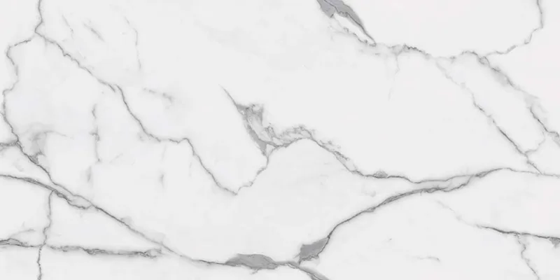 STATUARIO FANTASTICO 60х120 — 1