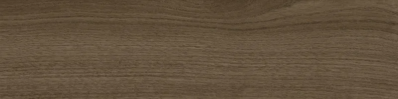 Tregui dark 8x33 — 5