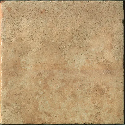 Scabas Noce P — 1
