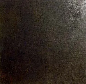 Evolution Bronce — 1
