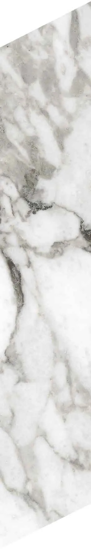 PF60012691 Chevron Bianco Vagli — 9