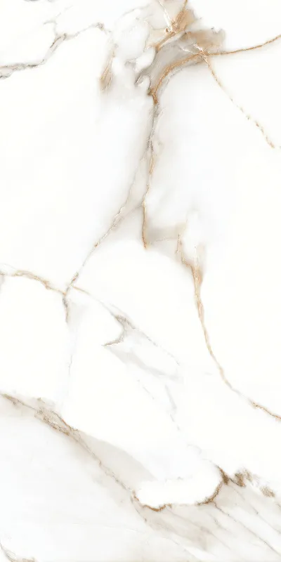 Natural Mt 120 — 6