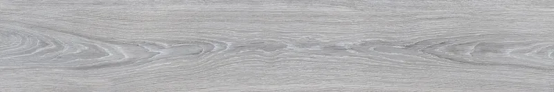 32079 Ash — 10