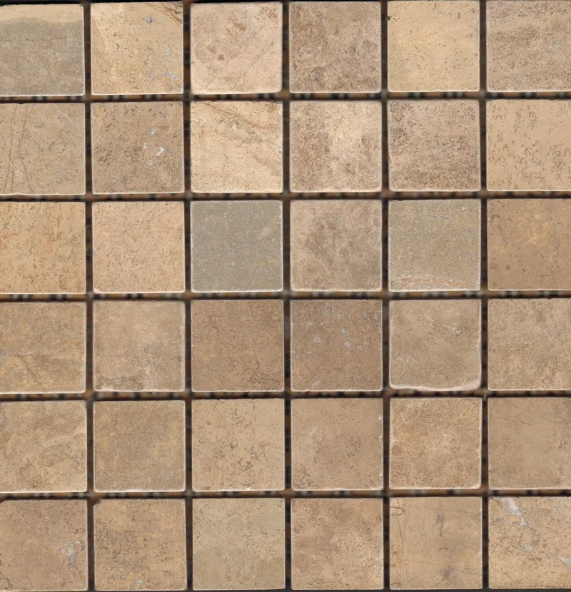 Ch Tumbled — 1
