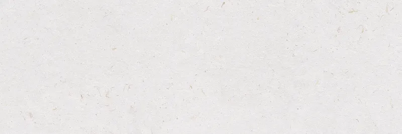 Lino — 6