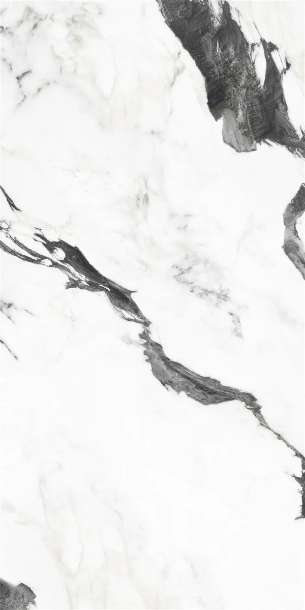 P19707 White — 8