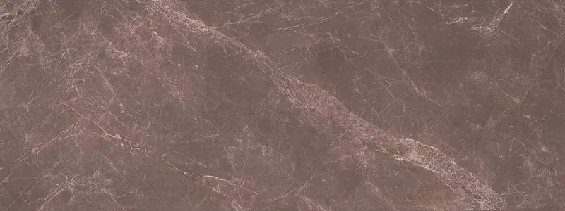 Venezia Pulpis — 1