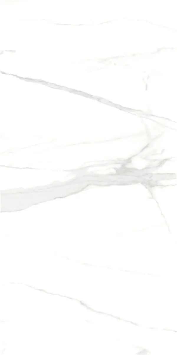 P15006 White — 8