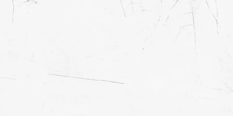 VS01/NS/60120 — 1
