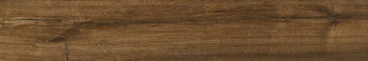 Root Nocciola — 1