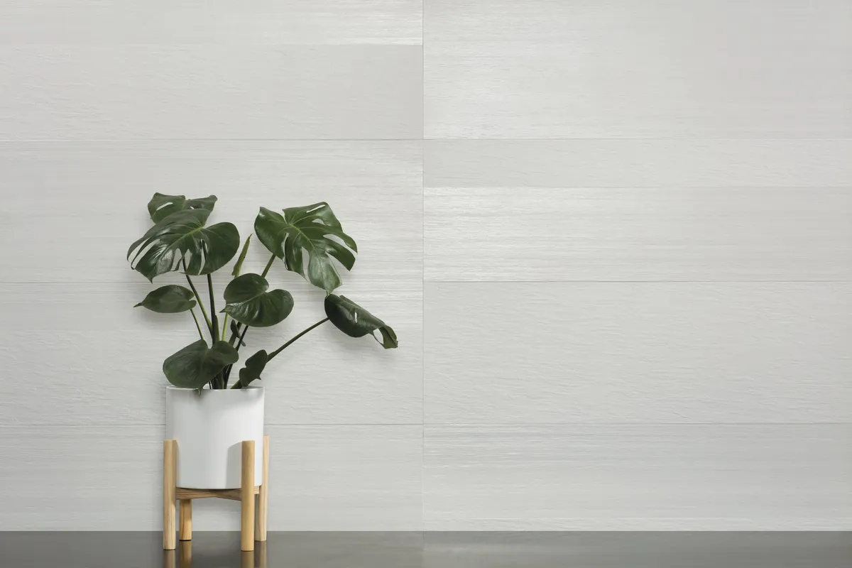 Stonewood Peronda — 5