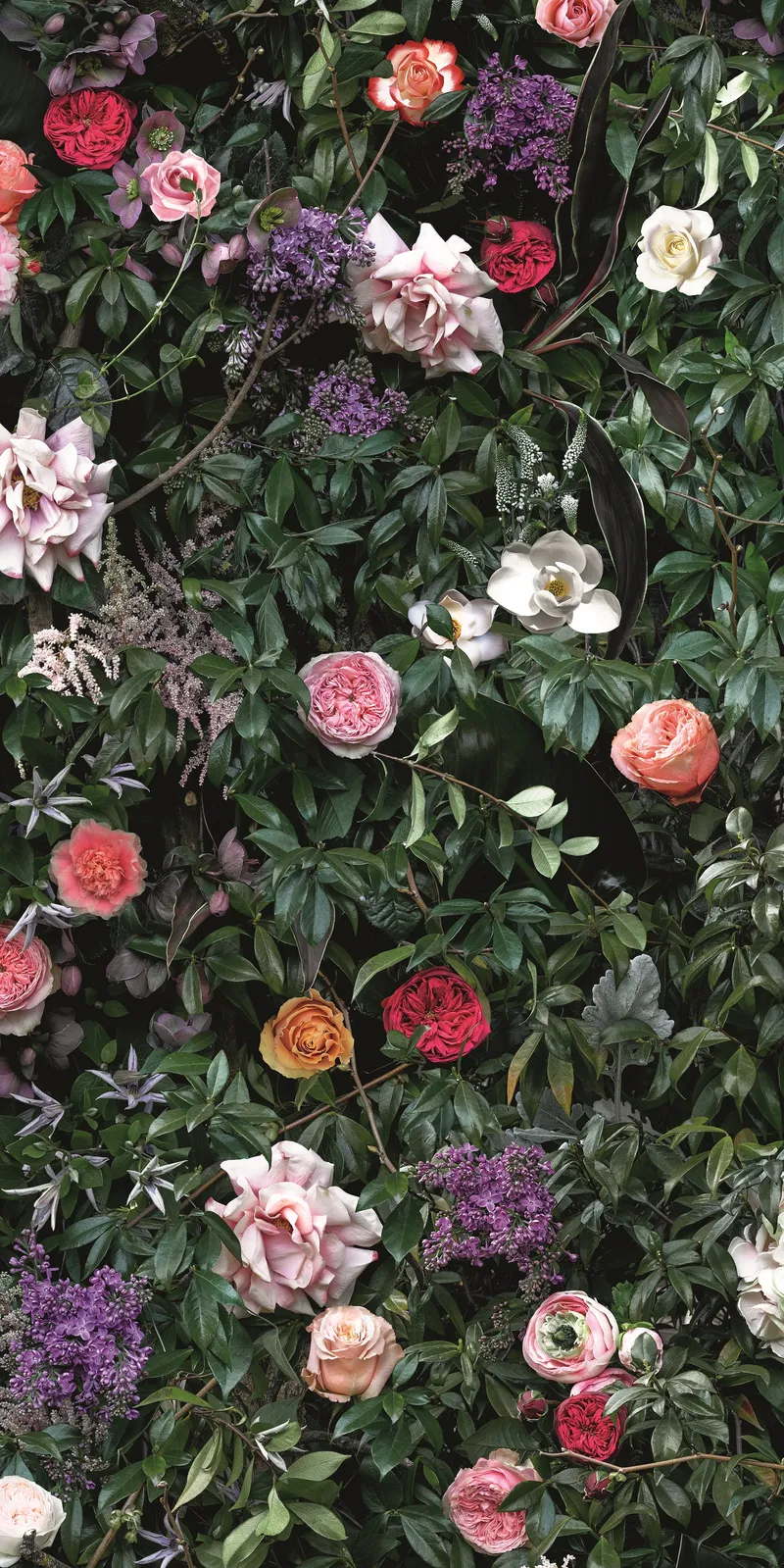 4100993 William — 3