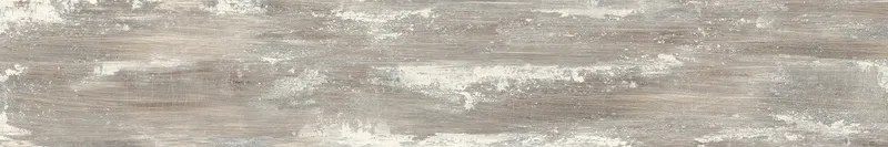 AR5 Lapp Rett — 1