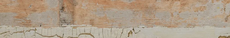 Pav. Unique — 1
