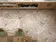 Caprice Equipe — фото 12