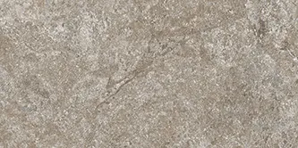 Dynasty Grey — 1