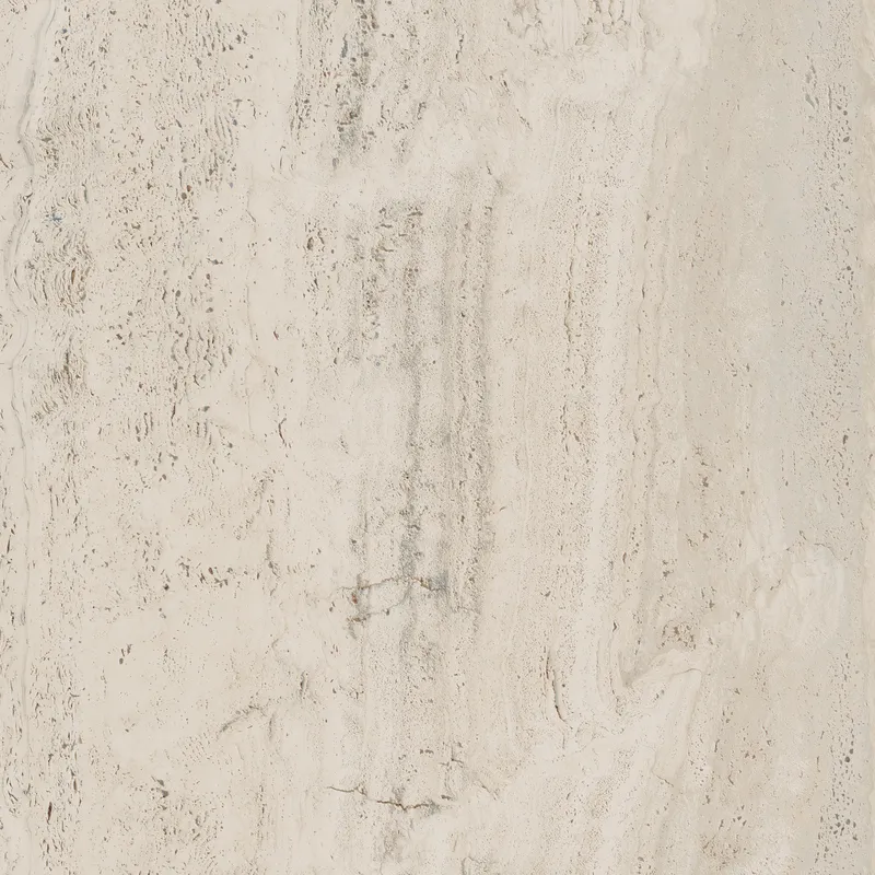 PF60006606 Bone Vein — 6