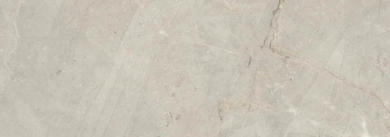 Pav Milord Gris — 1