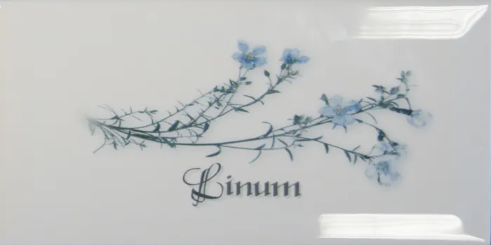 Decor Blanco Linum — 1