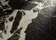 Quanta Grey NT Ceramic — фото 10